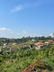50x100 Plots for Sale Near Akright, Entebbe - 4