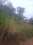 Plot for Sale in Masuliita, Wakiso - 2