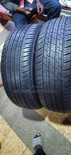265/55 R19 Dunlop Tires - Used
