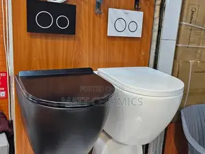 Black Concealed Toilet Seat