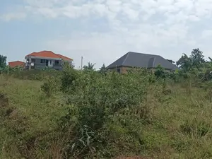 Land for Sale - Kiwenda