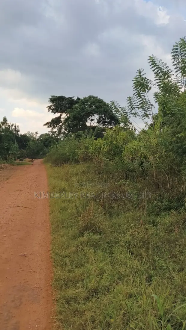 30 Acres Land for Sale - Nazigo (Kayunga-Jinja Road) - 1