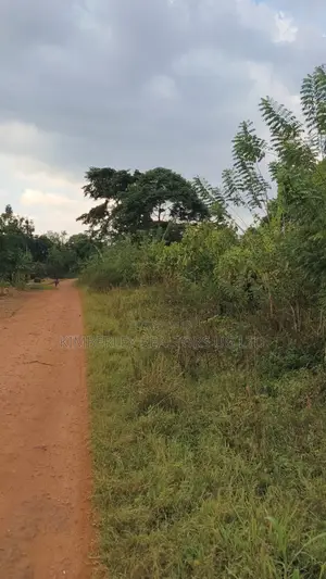 30 Acres Land for Sale - Nazigo (Kayunga-Jinja Road)