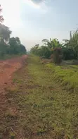 30 Acres Land for Sale - Nazigo (Kayunga-Jinja Road) - 2