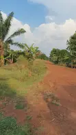 30 Acres Land for Sale - Nazigo (Kayunga-Jinja Road) - 3