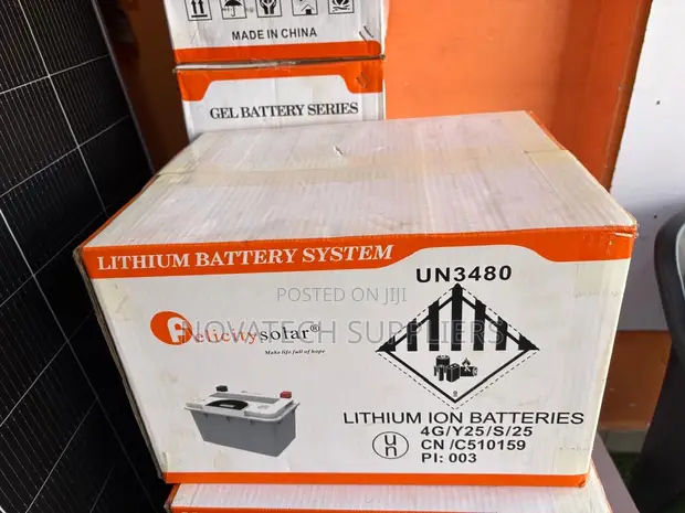 Compact 2.56kWh Felicity Lithium Battery with Smart BMS - 1