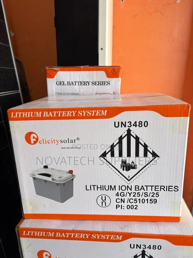 Compact 12V 100Ah Lithium Iron Phosphate Battery - FelicitySmart - 1