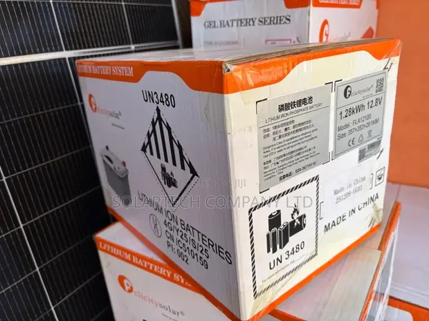 Felicity 1.28kWh 12V 100Ah Floor Mount Lithium Battery - 1