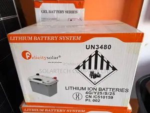 Felicity 12V 1.28kWh Lithium Solar Battery with Smart BMS