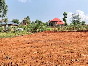 12 Decimal Plot for Sale in Gayaza Ndudu
