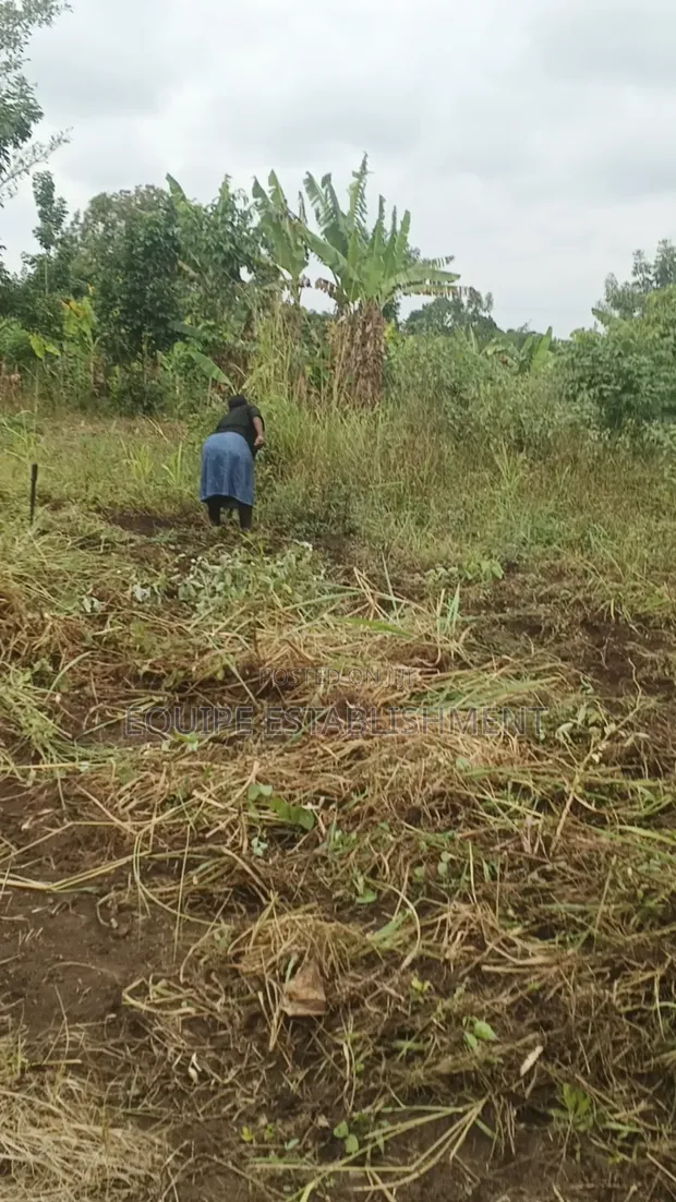 Last Plots for Sale in Kikandwa, Mukono - 1