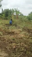 Last Plots for Sale in Kikandwa, Mukono - 1