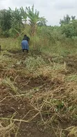 Last Plots for Sale in Kikandwa, Mukono - 2