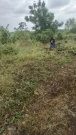 Last Plots for Sale in Kikandwa, Mukono - 3