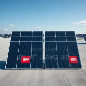 300W Monocrystalline Solar Panel - New