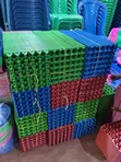 Clarity Plastic Egg Trays (100pcs) - 1