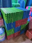 Clarity Plastic Egg Trays (100pcs) - 2
