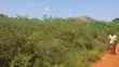 Land for Sale in Kisoga - 1