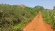 Land for Sale in Kisoga - 2