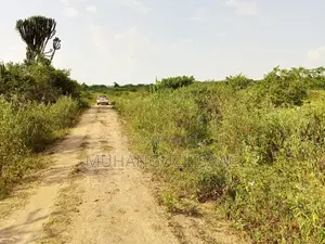 120 Acres Farm Land for Sale in Nakaseke