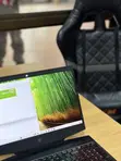 HP Omen 15 Laptop - 16GB RAM, Intel Core i7, 512GB SSD - 2