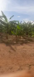 Land Plots for Sale in Bwerenga - 2