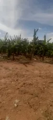 Land Plots for Sale in Bwerenga - 3