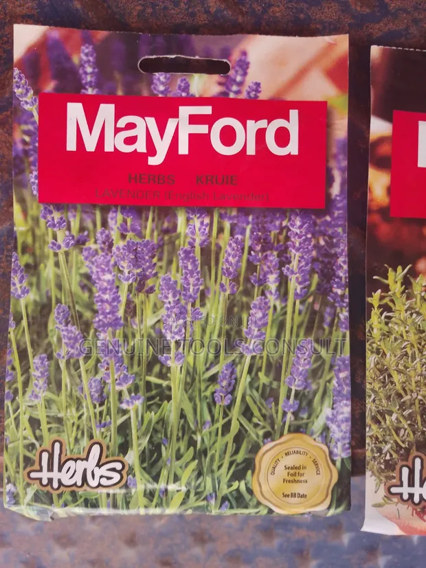 Medicinal Herb Seeds: Rosemary, Basil, Mustard, Rocket, Lavender, Celery, Oregano, Fennel - 1
