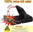 Heavy Duty Reusable Crocodile Teeth Snap Mouse & Rat Traps (2pcs) - 2