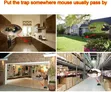 Heavy Duty Reusable Crocodile Teeth Snap Mouse & Rat Traps (2pcs) - 4