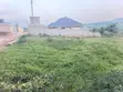 Land for Sale - Namugongo Joggo - 3