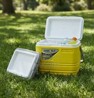 Pinnacle 25L Insulated Water Cooler Ice Chiller Box