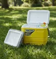 Pinnacle 25L Insulated Water Cooler Ice Chiller Box - 1