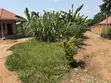 3 Bedroom House for Sale in Mukono TC - 2