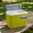 Pinnacle 32L Insulated Water Cooler Ice Chiller Box - 1