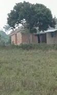 Plot for Quick Sale - Mityana Road - 2