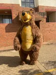 Inflatable Mascot Costume - 2