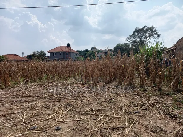 53 Decimals Private Mailo Land in Muyenga Bukasa - 1