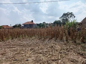 53 Decimals Private Mailo Land in Muyenga Bukasa