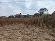 53 Decimals Private Mailo Land in Muyenga Bukasa - 1