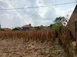 53 Decimals Private Mailo Land in Muyenga Bukasa - 2