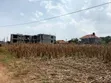 53 Decimals Private Mailo Land in Muyenga Bukasa - 3
