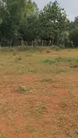 Land for Sale - Nsangi, Wakiso District - 1