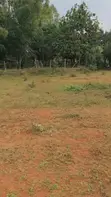 Land for Sale - Nsangi, Wakiso District - 2