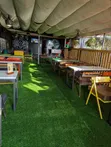 Shades of Green Artificial Grass Carpet - 3