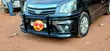 Customised Car Guards - All Car Types - 3