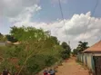 50x100 FTS Plot in Matuga Town Near Tarmac Road - 1
