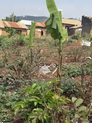 Plot for Sale in Bakka, Wakiso District