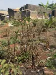 Plot for Sale in Bakka, Wakiso District - 2
