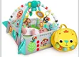 5-in-1 Baby Activity Gym and Ball Pit - 2